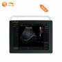 Medical high intensity portable handheld tablet hospital buy ultrasound machines SUN800S