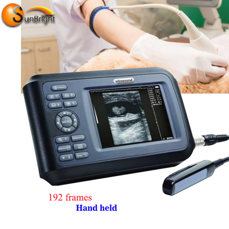 Ecografo portatile ecografico portatile in bianco e nero per gravidanza sonda rettale a ultrasuoni
