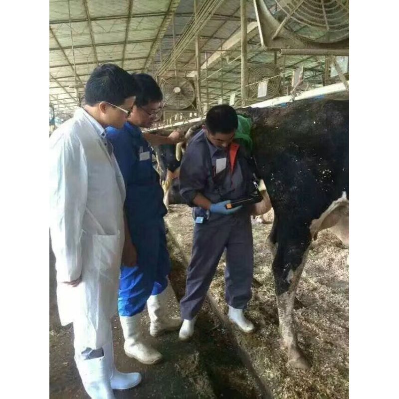 portable full digital diagnose ultrasound machine handeld vet ultrasound scanner