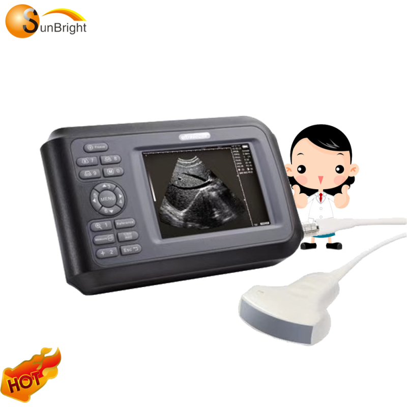 볼록한 새로운 전체 디지털 휴대용 2d 심초음파 초음파 탐침 변환기