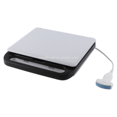 vascular linear probe 3D laptop Doppler ultrasound machine for MSK Color Doppler SUN-906A