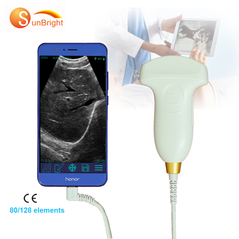 Factory price SUN-P1 type-C portable usb probes ultrasound for sale