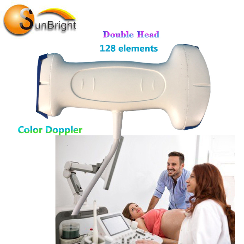 Einfache Bedienung eines kleinen Ultraschallscanners mit USB-Anschlusssonde