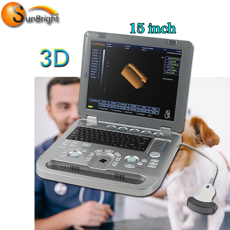 수의학 직장 초음파 프로브 클리닉 사용 휴대용 의료 임신 3D 초음파