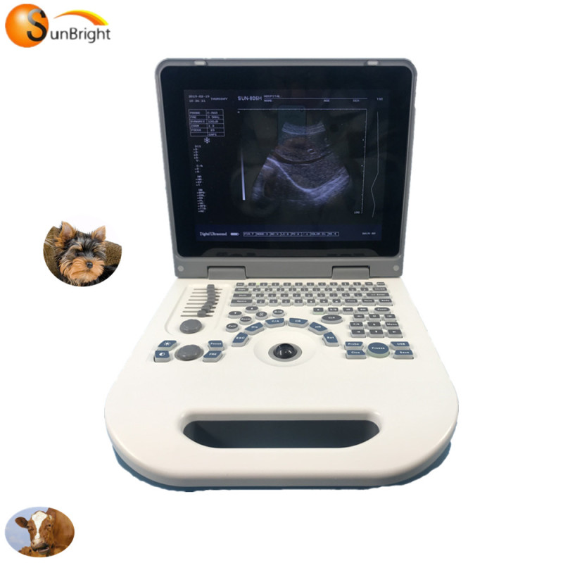 2D الحيوان يستخدم جهاز الموجات فوق الصوتية البيطرية المحمولة SUN-806G مع 2 منافذ التحقيق