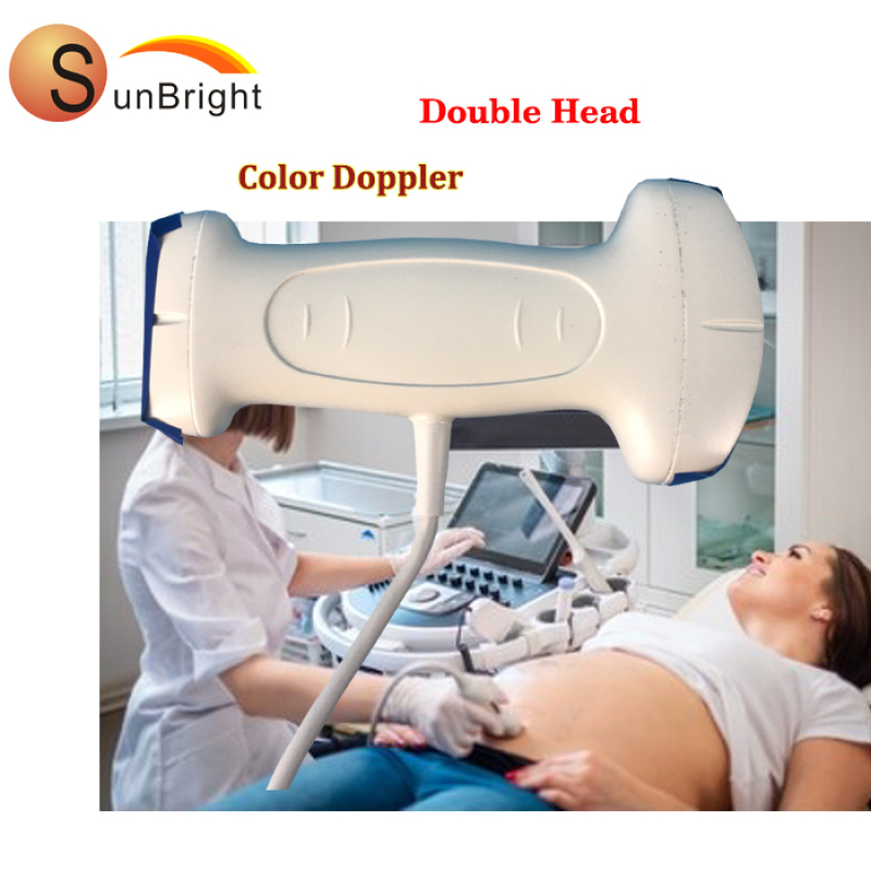 sonda ecografica doppia 128 elementi sonda lineare convessa USB doppler a colori economico