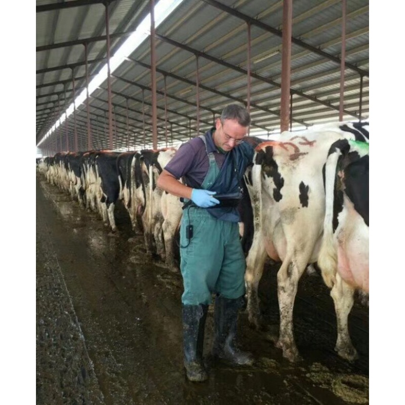 휴대용 휴대용 ecografos 농장 사용 초음파 검사 기계