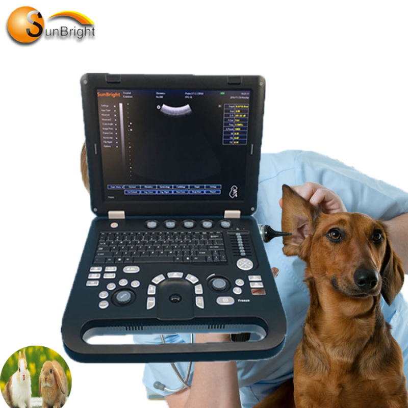 Factory support low price veterinary 3D digital portable ultrasound for animals