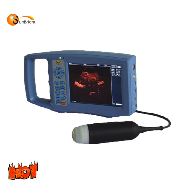 Mini size medical veterinary ultrasound machine with 3.5 MHz Mechanical sector probe