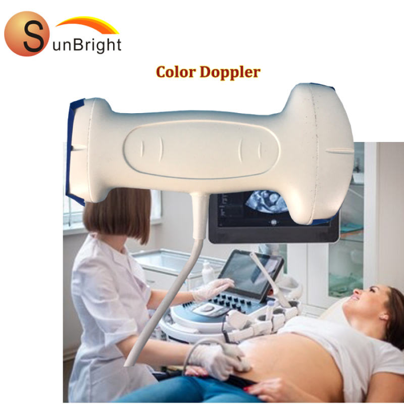 Utilizza facilmente lo scanner ad ultrasuoni USB collega la sonda al nuovo sistema ad ultrasuoni