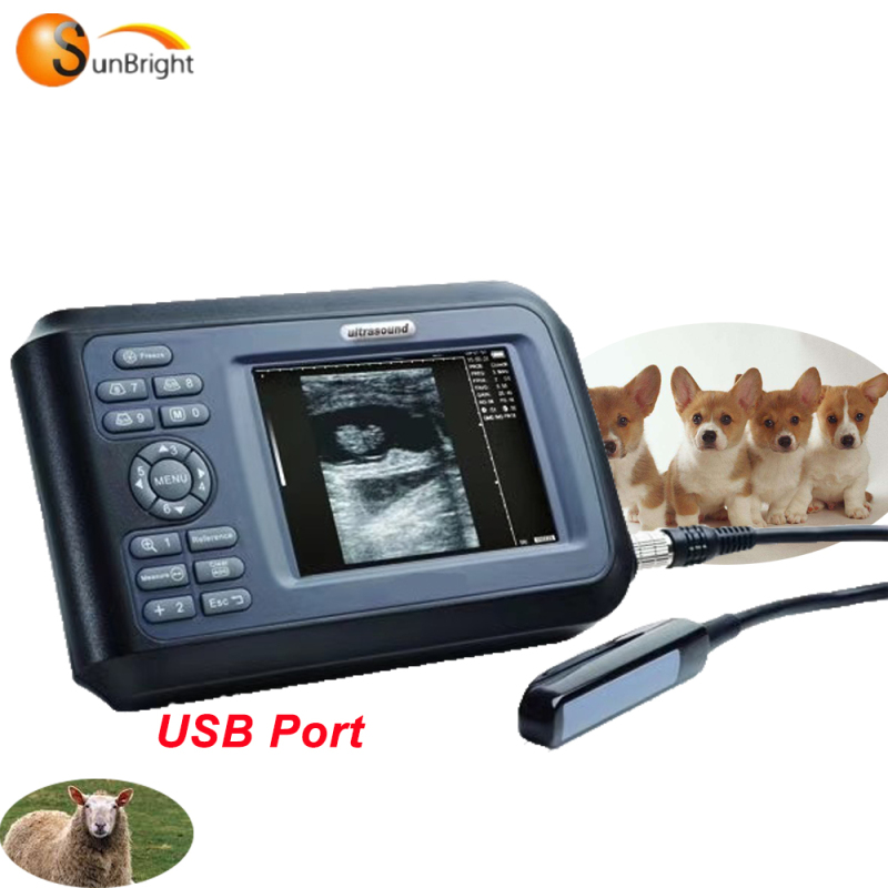 Handscan 휴대용 수의학 초음파 크고 작은 동물 방수 수의학 초음파 색상