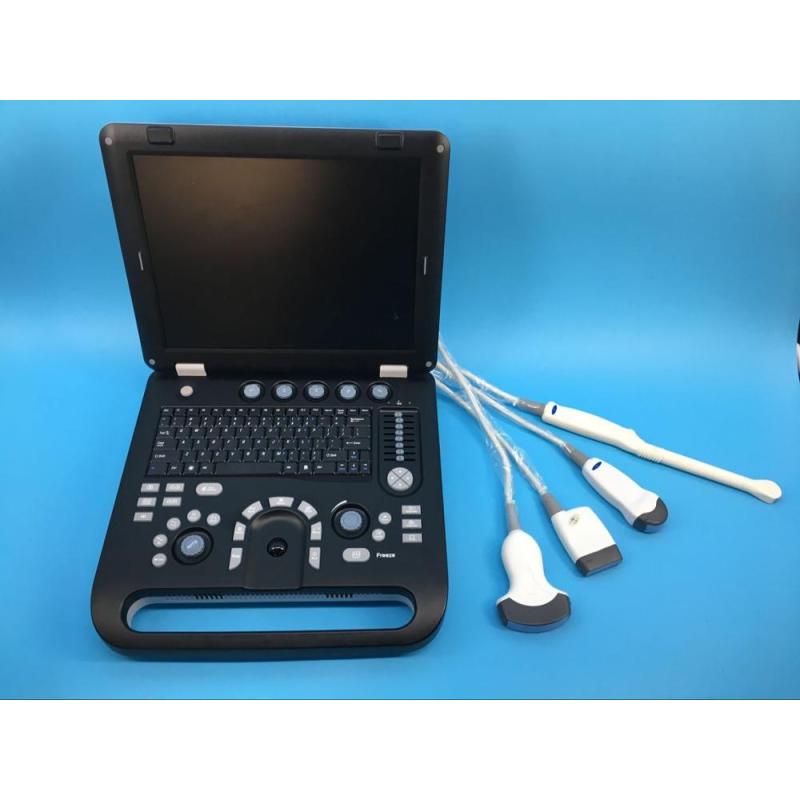 High quality portable Cardiac 3D Veterinary ultrasound device