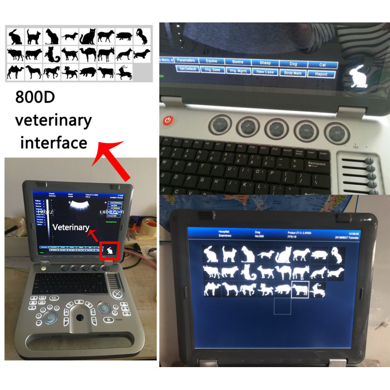 Hot sale SUN-800D CE Hospital Portable Black White ultrasound scanner Ultrasound machine Price