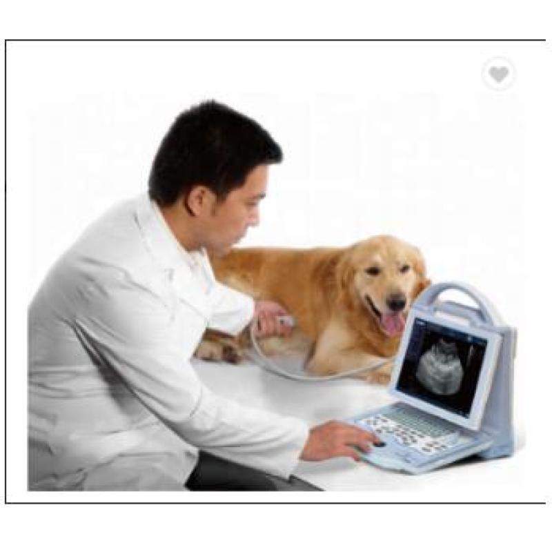 CE Full digital ultrasound scanner machine with rectal linear probe on sale