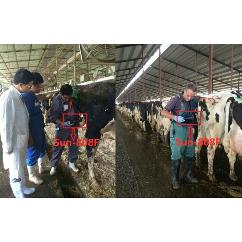High quality portable handheld ultrasound sheep veterinary animal ultrasound Veterinary