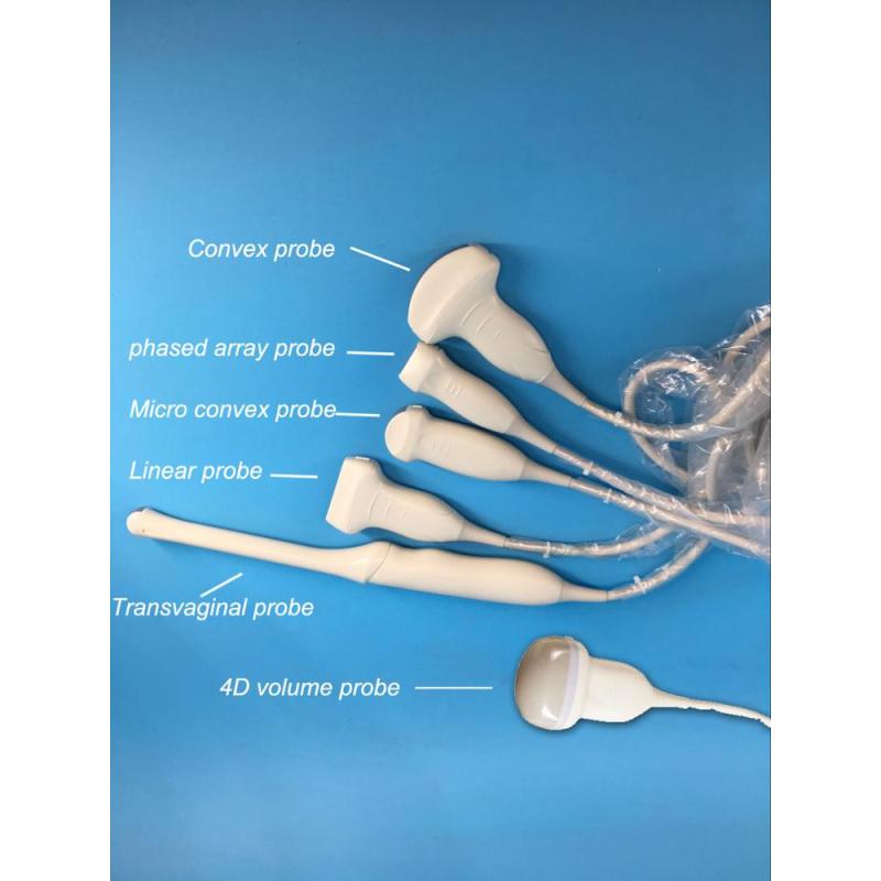 Offre spéciale machine à ultrasons doppler couleur 3D 4D CW Doppler couleur pour la grossesse