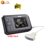Handheld Color Veterinary Sheep Bovine animal Ultrasound