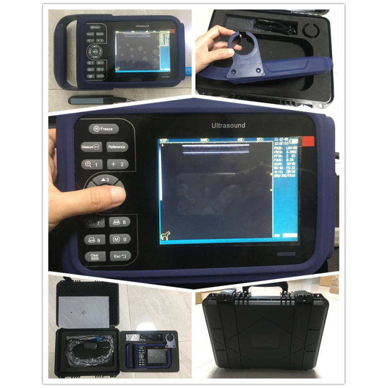 Scanner ecografico per tablet per veterinaria, produttore di apparecchiature diagnostiche veterinarie B