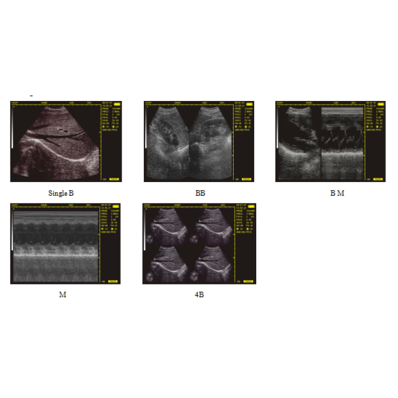 Scanner ecografico per tablet per veterinaria, produttore di apparecchiature diagnostiche veterinarie B