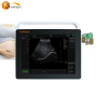 New year promotion veterinary portable ultrasound machine scanner with touch screen