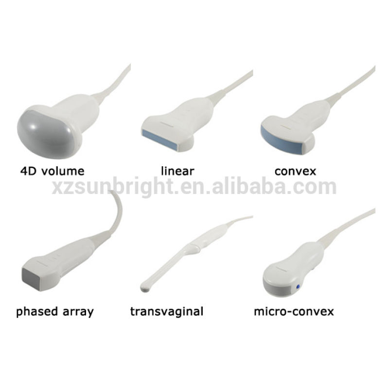 Ecografo portatile Doppler 15D da 4 pollici, ecografo portatile Doppler cardiaco 3D 4D, ecografo portatile Echo Logic Color Doppler con CW