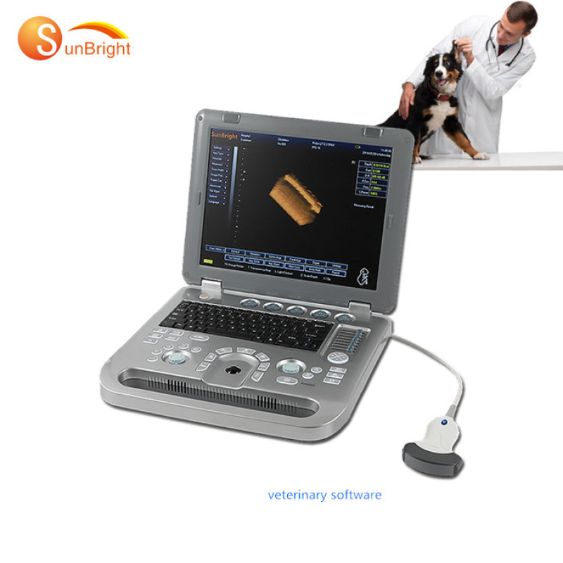 Portable 3d 4d veterinary ultrasound Equipment Machine for pig sheep cattle pregnancy test