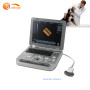 Portable 3d 4d veterinary ultrasound Equipment Machine for pig sheep cattle pregnancy test
