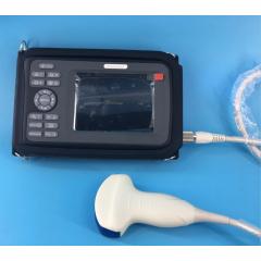 veterinary pregnancy ultrasound for large animals Cow sheep