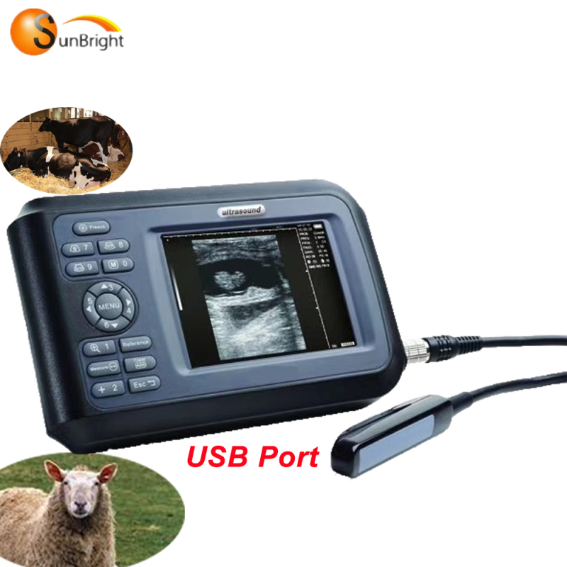 Cheapest SUN-808F model veterinary ultrasound pregnancy high frequency skin ultrasound probe