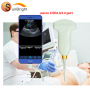 IPhone/Android connect wireless pw veterinary Convex linear high clear image color doppler probe application ultrasound USB