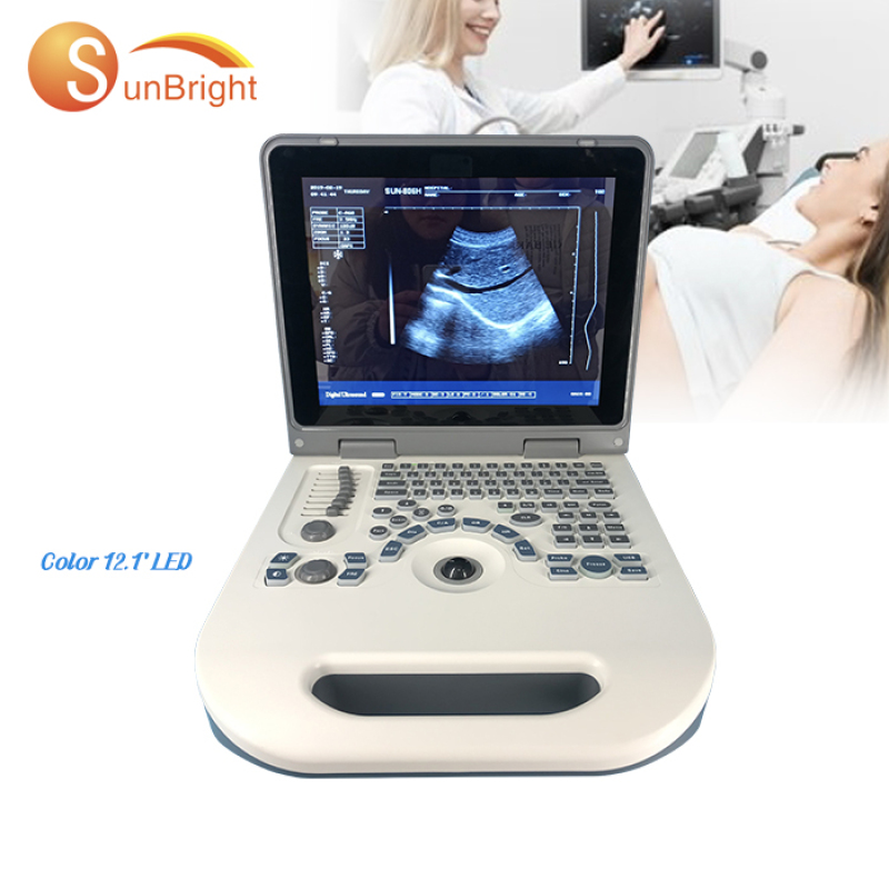 Factory portable veterinary scanner ultrasound for sheep with CE