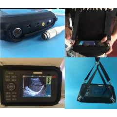 cheap veterinary portable ultrasound machine for Horse Cattle Sheep pregnancy scanner