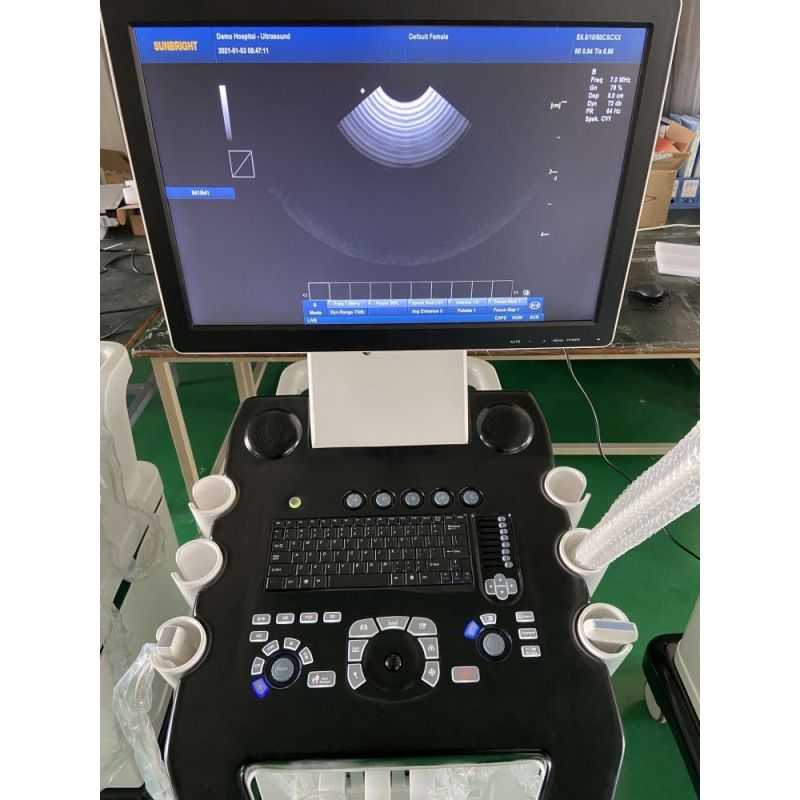 factory price newest Vascular stationary 4d trolley ultrasound system Sun-908A