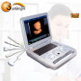 Portable Full Digital trade assurance available equine ultrasound machine