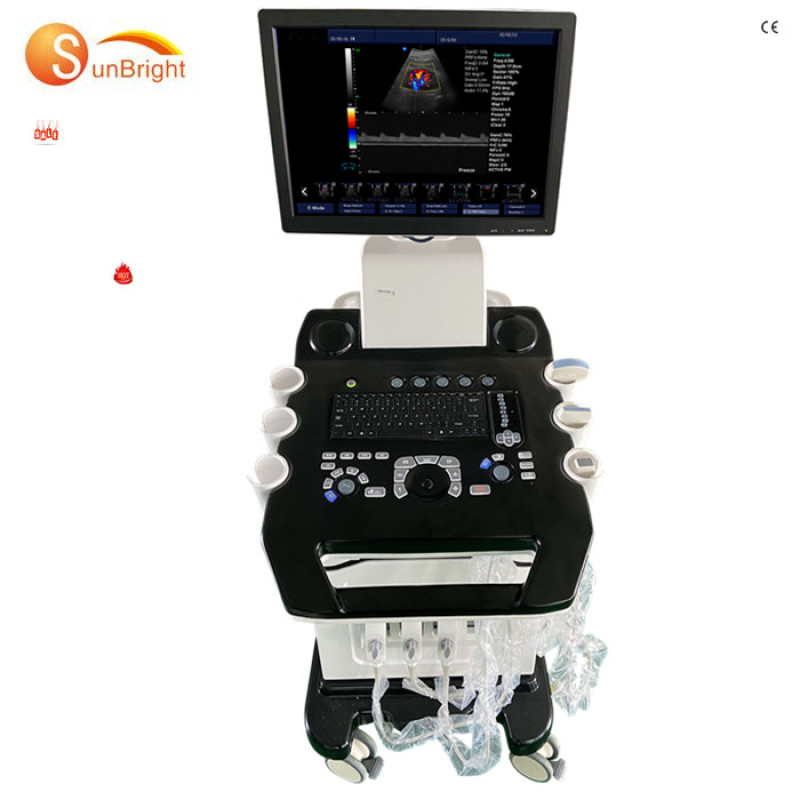 factory price newest Vascular stationary 4d trolley ultrasound system Sun-908A