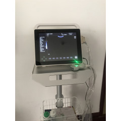 Vet Ultrasound Portable Veterinary Medical UltrasounD Machine Price