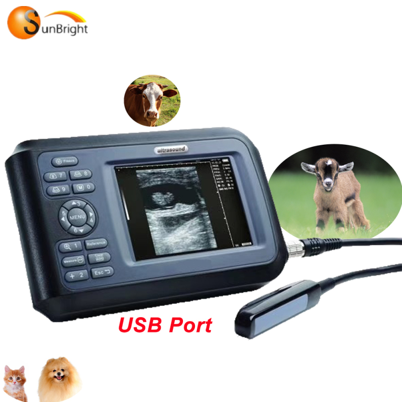 2019 Mini macchina per ecografia veterinaria portatile suina