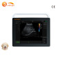 Scanner à ultrasons vétérinaire, tablette portable, meilleure vente, prix de la machine