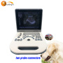hot sale Sunbright model 806G Horse Cattle scanner veterinary ultrasound equipment