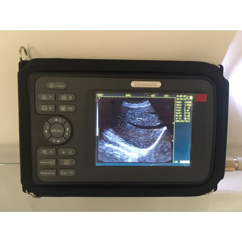 Tierpalmen-Ultraschallgerät-Handultraschallscanner für Tierarzt mit USB-Anschluss