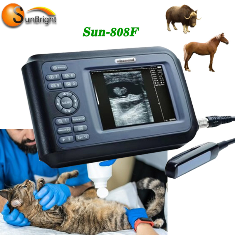 Ecografo veterinario portatile