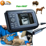 Ecografo veterinario portatile
