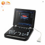 digital ob gyn PW color doppler scanner medical machine 3d 4d color doppler