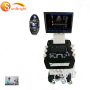 Factory supply cheap 3d 4d trolley color doppler ultrasound