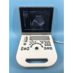 12 inch display ultrasound machine price excellent performance