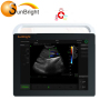 Best sale touch color clinical home ultrasound machine amazon
