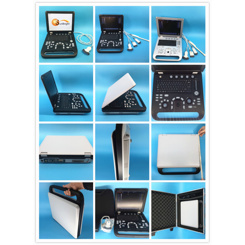 Portable 3D color ultrasound machine with several probes