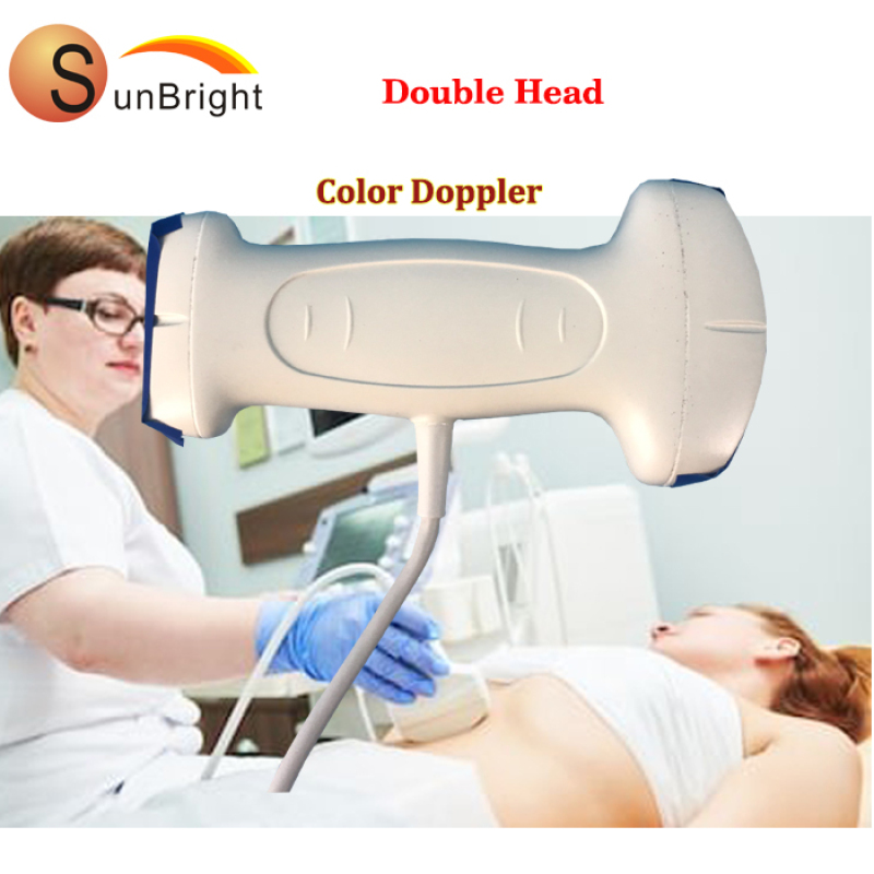 Sensore ecografico digitale USB convesso OB vascolare lineare addominale MSK color Doppler