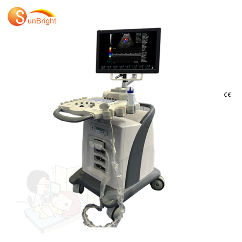 Doppler color doppler ultrasound machine trolley Stationary 4D CW 192 elements ultrasound machine urology scanner
