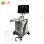 Doppler color doppler ultrasound machine trolley Stationary 4D CW 192 elements ultrasound machine urology scanner